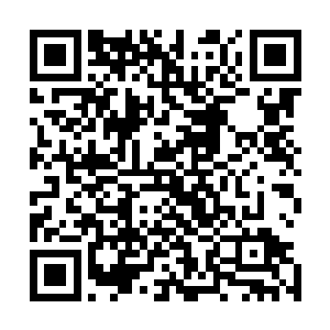 许紫烟立刻发现了那些丹妖气体已经对他们没有什么作用了二维码生成