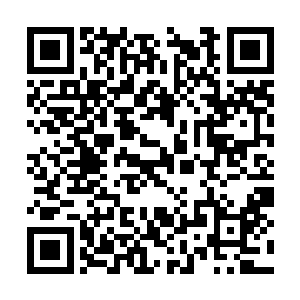 许紫烟立刻就下达了将吕东阳等人全部杀死的命令二维码生成