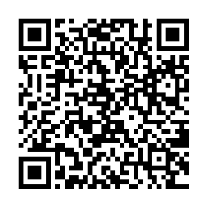 许紫烟立刻探查自己的身体糟皮女汉纸的网王异闻录二维码生成