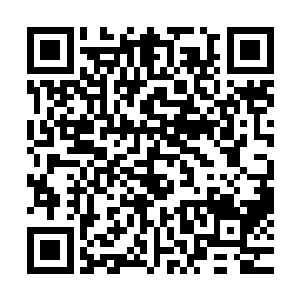 许紫烟等七个人立刻将自己的元力顺着那一缕丝线输送了出去二维码生成