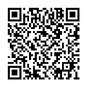 许紫烟等修士没有分出丝毫精力去关注破碎大陆二维码生成