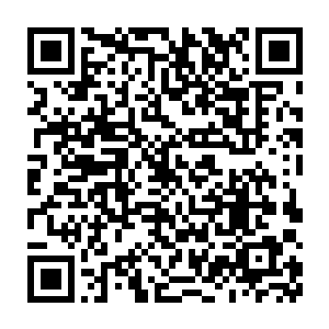 许紫烟终于还是没有让他们去对付那十二个桀骜不驯的人尊期修士二维码生成