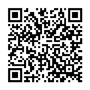 许紫烟能够感觉到对面的半妖居士身上的气息波动了起来二维码生成