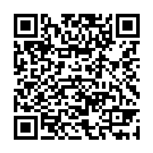 许紫烟虽然不知道欧阳玲为什么会让自己前往大殿二维码生成