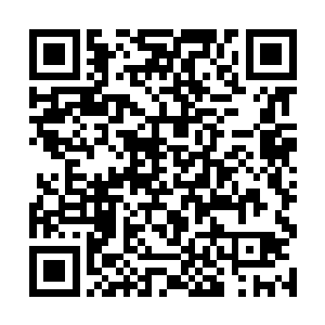 许紫烟认真地观察着对面五修士联手释放出来的威能二维码生成