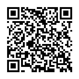 许紫烟转头望着九百九十九个白玉石柱内的傀儡二维码生成