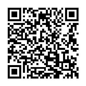 许紫烟轻轻地从那个赤阳宗弟子的头上收回了手二维码生成