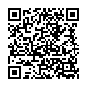 许紫烟边在识海中梳理着飞行水蛭传回来的讯息二维码生成