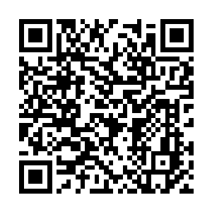 许紫烟这些修士在出现的瞬间便释放出最强的攻击二维码生成