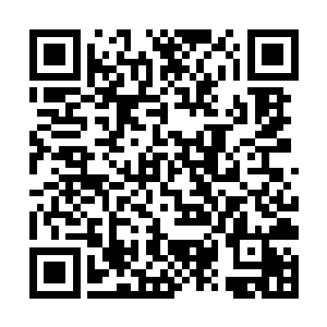 许紫烟这些刚刚进入中元星系的修士便都留意了一下二维码生成