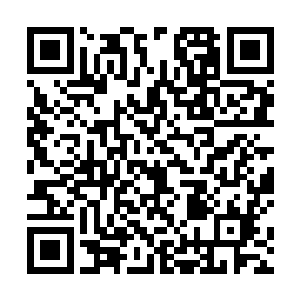 许紫烟这次只用了五天的时间便找到了那个壁障的破绽二维码生成