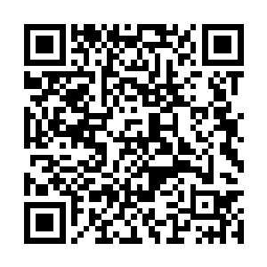 许紫烟那温和的笑容落在他的眼中却让他遍体生寒二维码生成