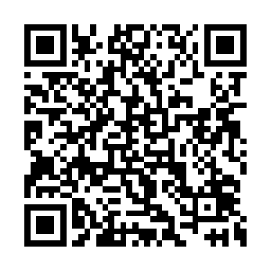 许紫烟都能够感觉到周围的火元力在急剧的波动二维码生成