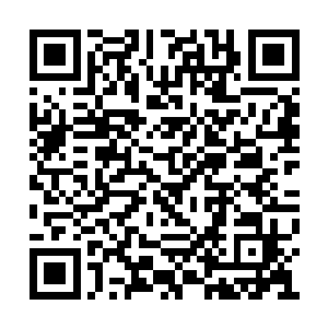 许紫烟除了将来提炼之后会有很多炼器材料之外二维码生成