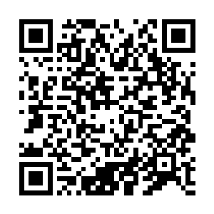 许紫烟默默地运用精神力在那个傀儡的符箓上做着改动二维码生成