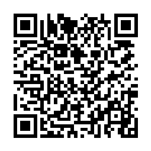 许绫薇已经在身旁的空地中依靠在石壁上睡了过去二维码生成