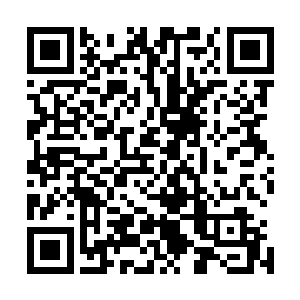 许言这些老人也没有询问秦宇进去密室这么久是干什么去了二维码生成