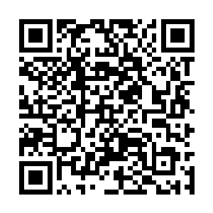 许诺笑嘻嘻的将钟玄良对我说的话又全部还给了他二维码生成