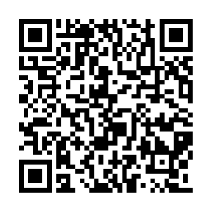 许诺静静的盯着在那十三具棺材中走动的钟玄良二维码生成