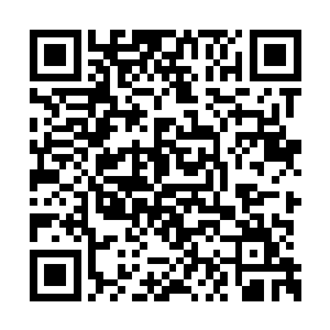 许辉和杜合在那头抱拳对着贝海表示了一下歉意二维码生成