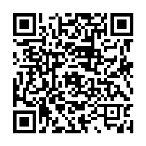 许顶阳和许浩然自然是不会下去屠杀那些三家弟子二维码生成