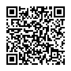 许麒等十一个人却仍然保持着盘膝端坐修行的姿势二维码生成