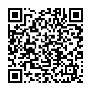 许麟和凌霄五个实力最强的修士瞬间就扑向了杨家天尊和族长二维码生成