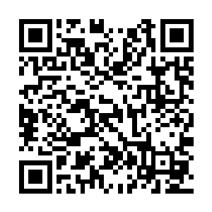 许麟看了一眼坐在鲲鹏后背上的那个大罗天的弟子二维码生成