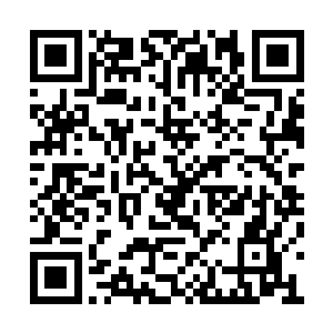 许麟给了许麒一粒疤脸独臂人给他的高品疗伤丹二维码生成