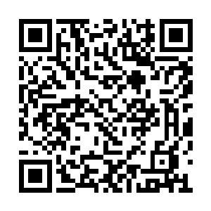 论文第一作者东森大学严合生教授的课火爆异常二维码生成