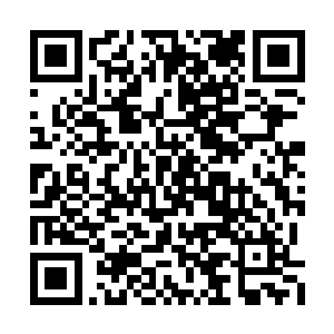 证明他们已经把被保护的对象安全送回研究院后二维码生成