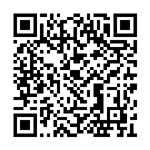 诅咒之魂是洛王的另外一种纵横蛮荒大陆的秘技二维码生成