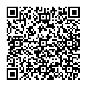 识海中升起一丝记忆……一个约么十二三岁的小姑娘缩在一个黑黢黢的狭小空间里二维码生成