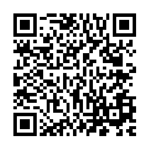 识海之中的元神吸收金色能量的速度陡然间瞬间提升了数倍布置二维码生成