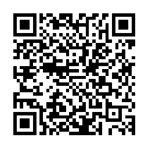 试图从他们的表情上看出究竟谁才是那个被木萦看中的幸运之人二维码生成