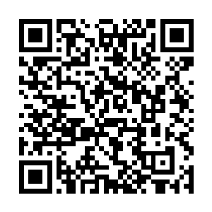 试图从宏观尺度阐述微观尺度的量子叠加原理的问题二维码生成