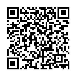 试图摆脱这乐芙兰的锁链以及那俩个肉得不行的大家伙二维码生成