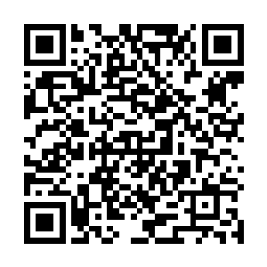 试图配合日女和奥巴马秒掉已经破败幽梦两件套的老鼠二维码生成