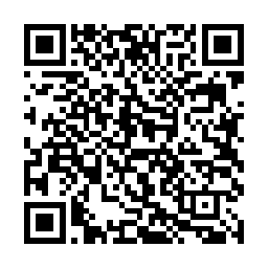 试想一下要不是他们的话我又怎么可能有今天的成就二维码生成