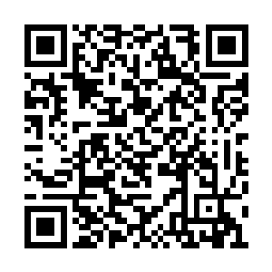 试想什么人的家里竟然有着不下一百多人的守卫二维码生成