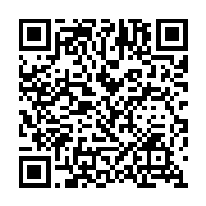 试问一个成年人如何会对几个孩童的争斗起兴趣二维码生成