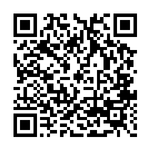 试问有谁会将自己的皇家禁地轻易向着外人开启二维码生成