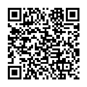 试问有谁能够在一半的情况下还有着信心能够击败十二圣骑二维码生成
