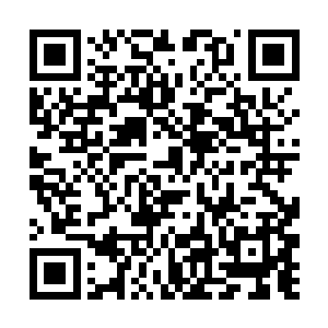 诚然一个隐匿的地仙对于人族联盟而言的确是很重要二维码生成