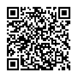 诚然东方家提及过要把所有的责任都给揽过来了二维码生成