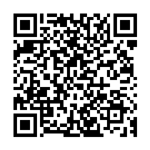 话说仅存五妖王当中排行末位的狱狨王看上了花果山的一个女妖二维码生成