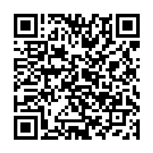 话说他金砖送出去这么多还是头一次被当成巧克力的二维码生成