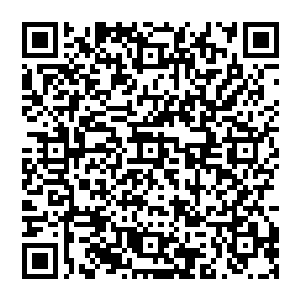 话说在陈诚刚刚加入战队之初他都不知道劝过这家伙多少次最好不要一个人太过深入敌方野区二维码生成