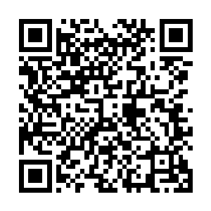 话说如今自己虽说是已经可以号令所有钻石以下的杀手二维码生成