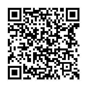 话说如果这些藤蔓对两个小美女群起而攻之的话二维码生成